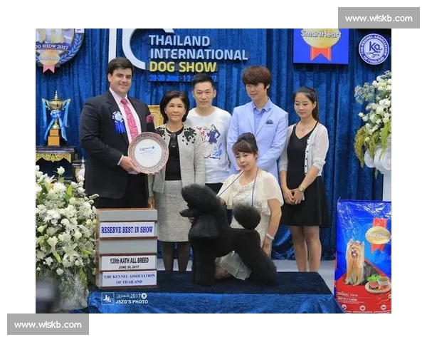 2017年CKU比赛精彩回顾与选手表现分析