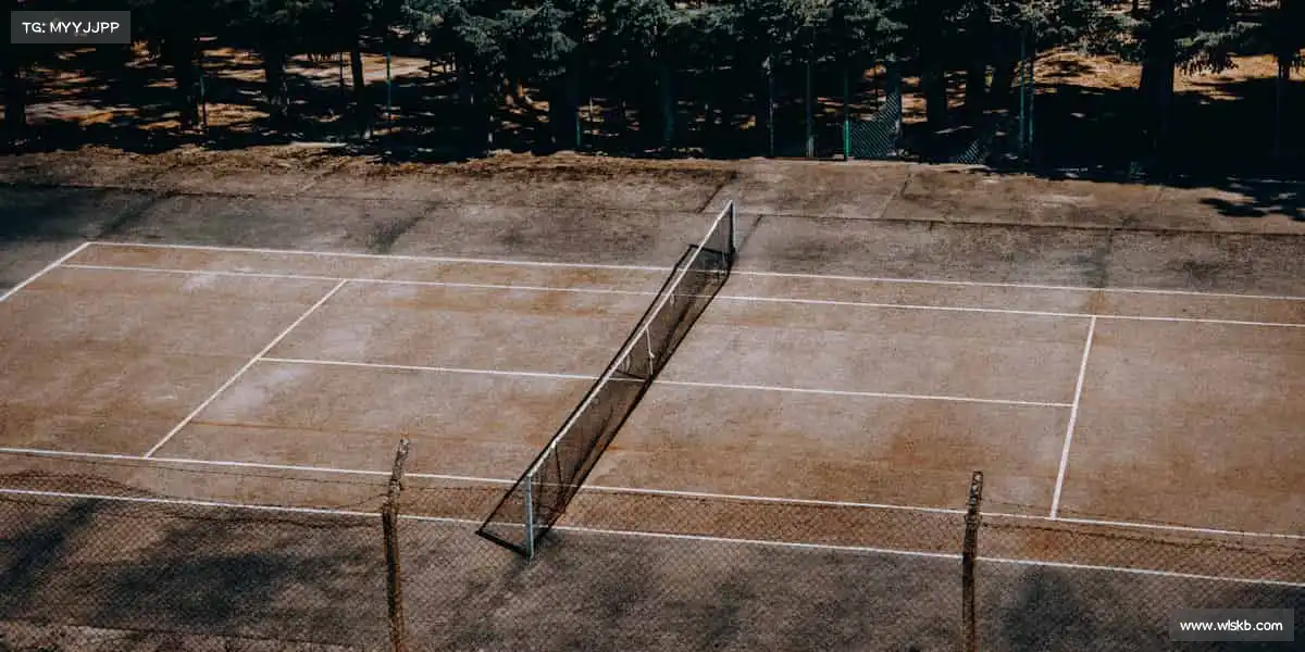 必一运动🏃♂️运动不止，热爱不息 —— 你的体育主场，等你开启！